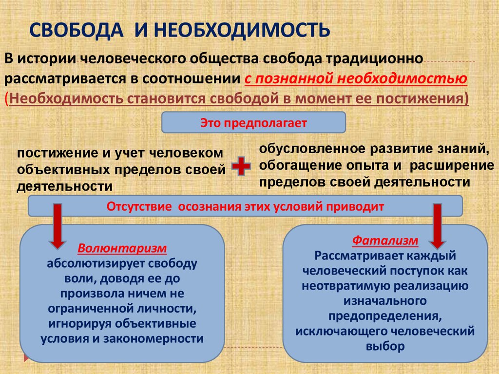 Свобода и необходимость в человеческой деятельности свобода и ответственность презентация