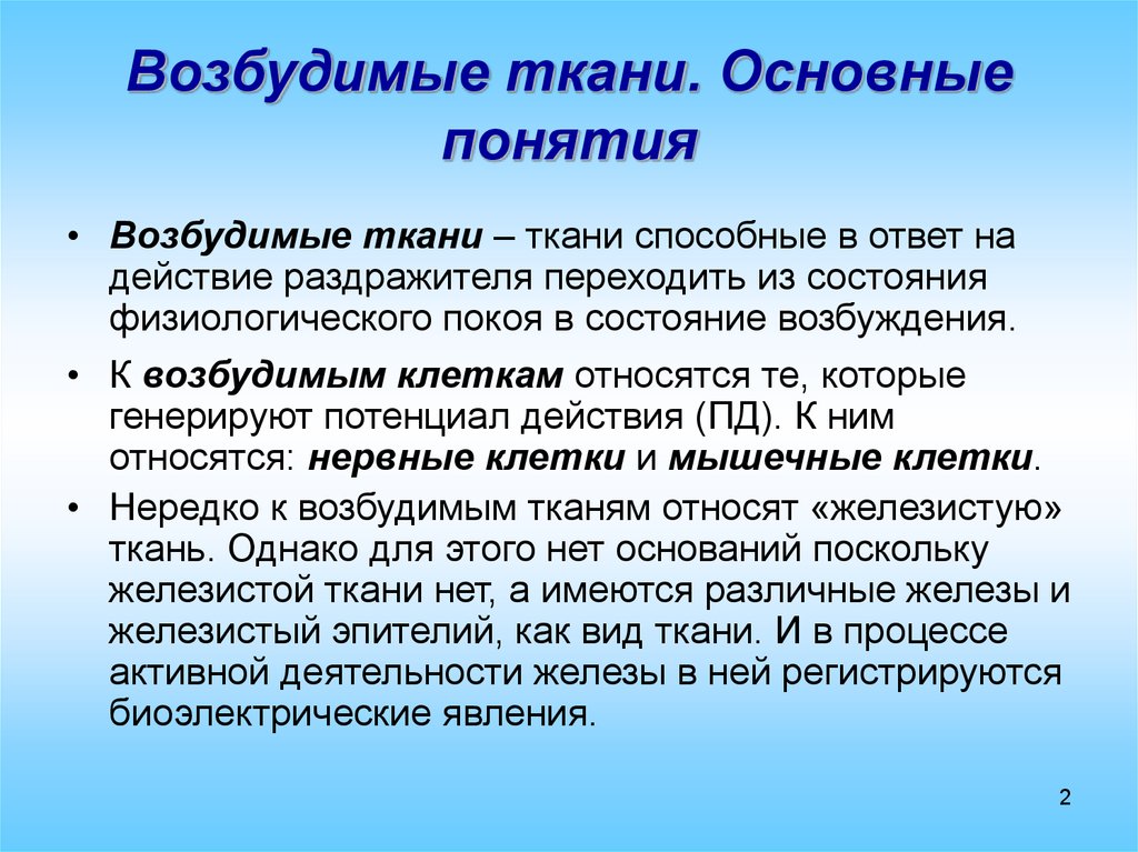 Возбудимые ткани. Понятие о возбудимых тканях. К возбудимым тканям относятся. Возбудимые ткани физиология. Основные понятия физиологии возбудимых тканей.