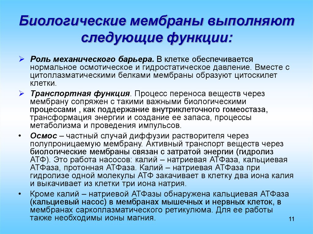 Мембрана функции. Функции биологических мембран. Биологические мембраны выполняют следующие функции:. Функции биологических мембран физиология. Биологическая роль мембран.