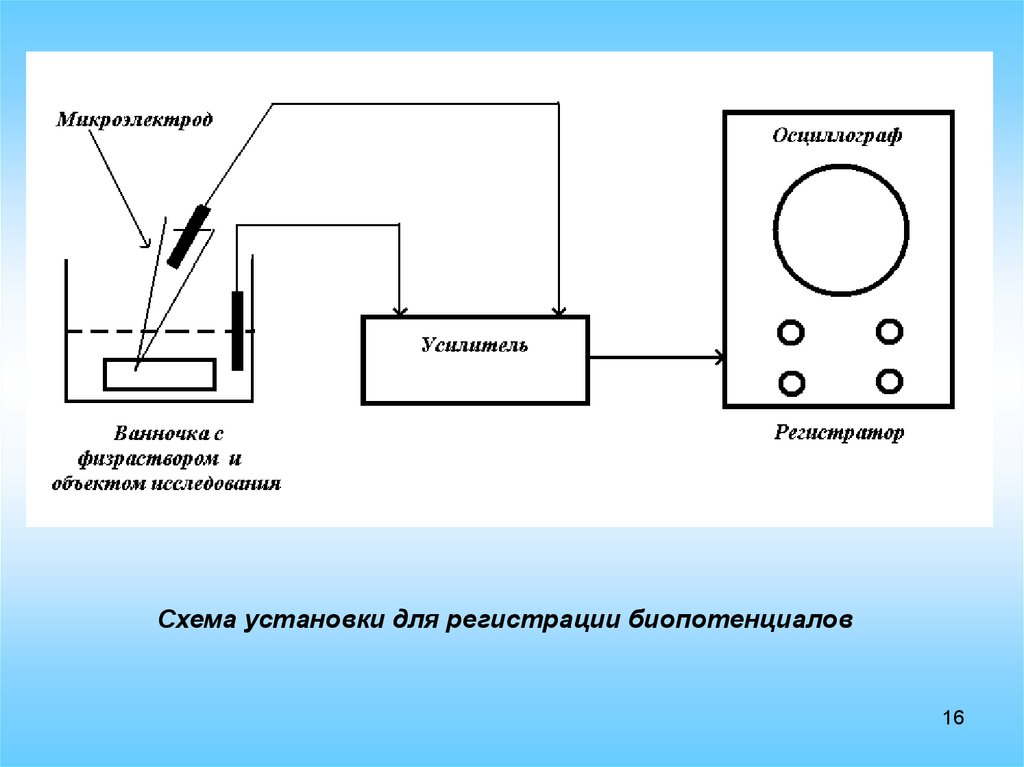 Что такое схема установки