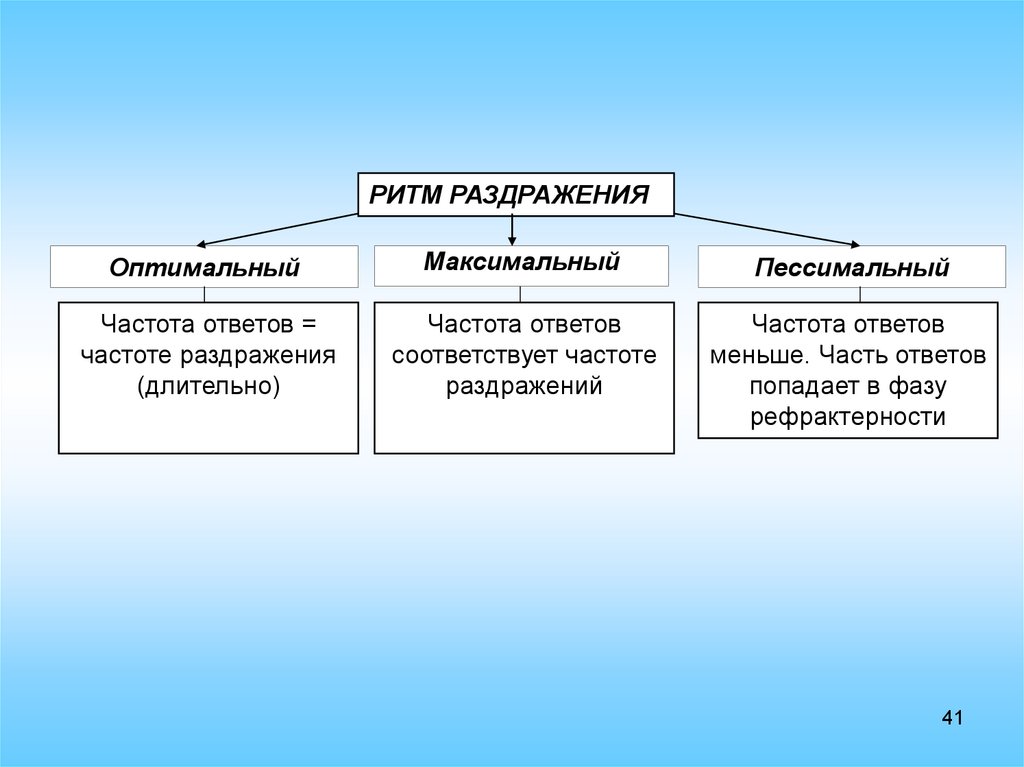 Оптимально максимальную. Максимальный и оптимальный ритмы. Лабильность максимальный и оптимальный ритмы. Лабильность физиология максимальный оптимальный ритм. Оптимальный раздражитель это в физиологии.