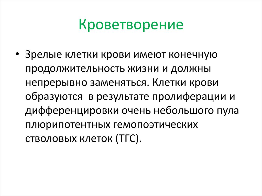 Зрелые клетки. Зрелые клетки крови. Костномозговое кроветворение. Костоно мозговое кроветворение.