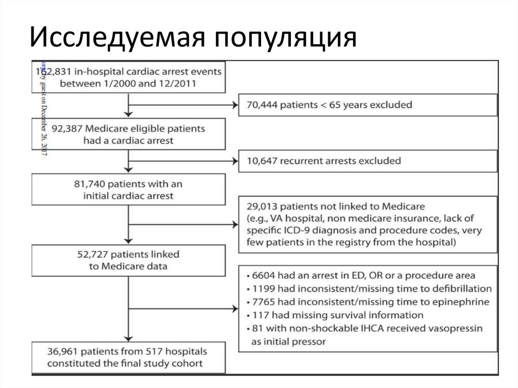 Исследуемая популяция