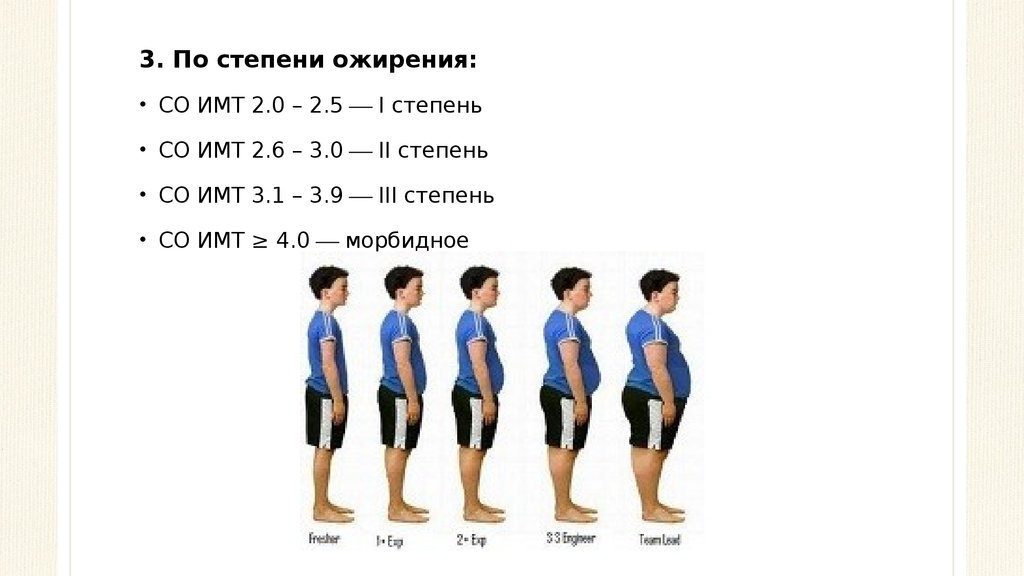 Способы регулирования массы тела человека презентация