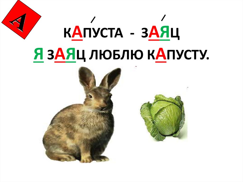 Род слова зайца. Заяц с капустой. Капуста словарное слово. Слово заяц. Заяц капуста словарные слова.