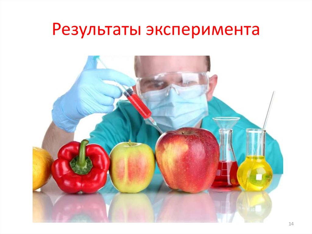 Результат эксперимента. Результаты эксперимента. Слайд с результатом эксперимента. ГМО продукты. Трансгенные продукты.