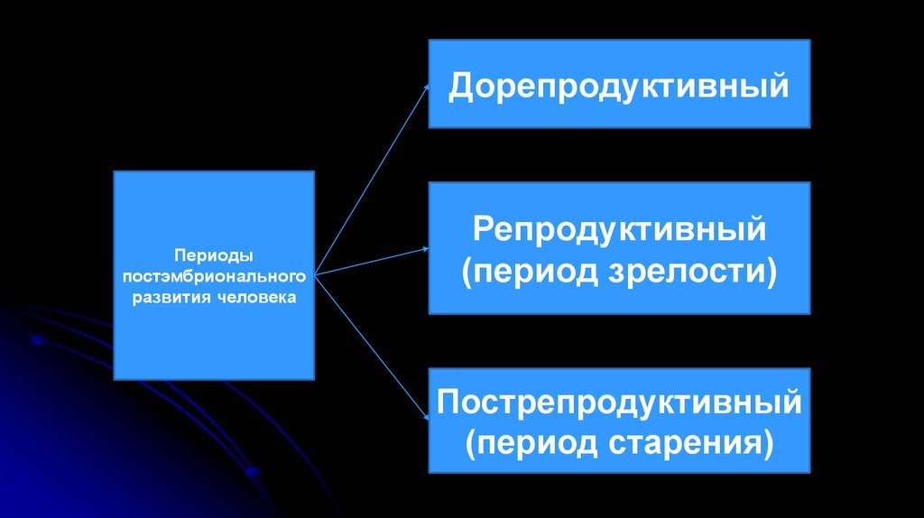 Репродуктивный период. Дорепродуктивного периода. Дорепродуктивный период постэмбрионального развития. Дорепродуктивный репродуктивный и пострепродуктивный периоды. Дорепродуктивный период онтогенеза.