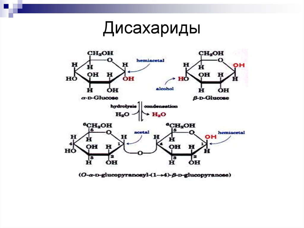 Декстрин мальтозы