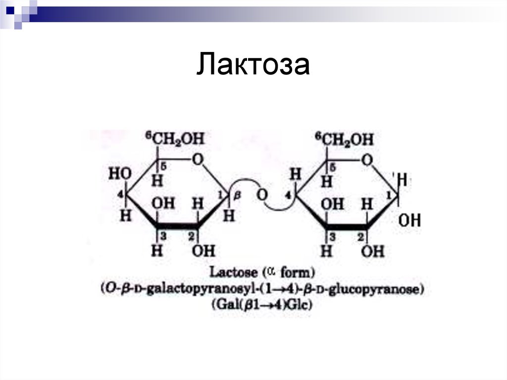 Лактоза это