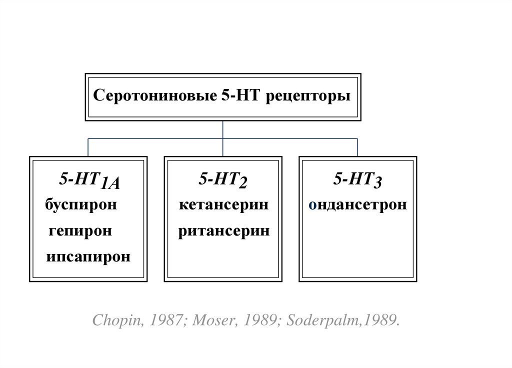 Chopin, 1987; Moser, 1989; Soderpalm,1989.