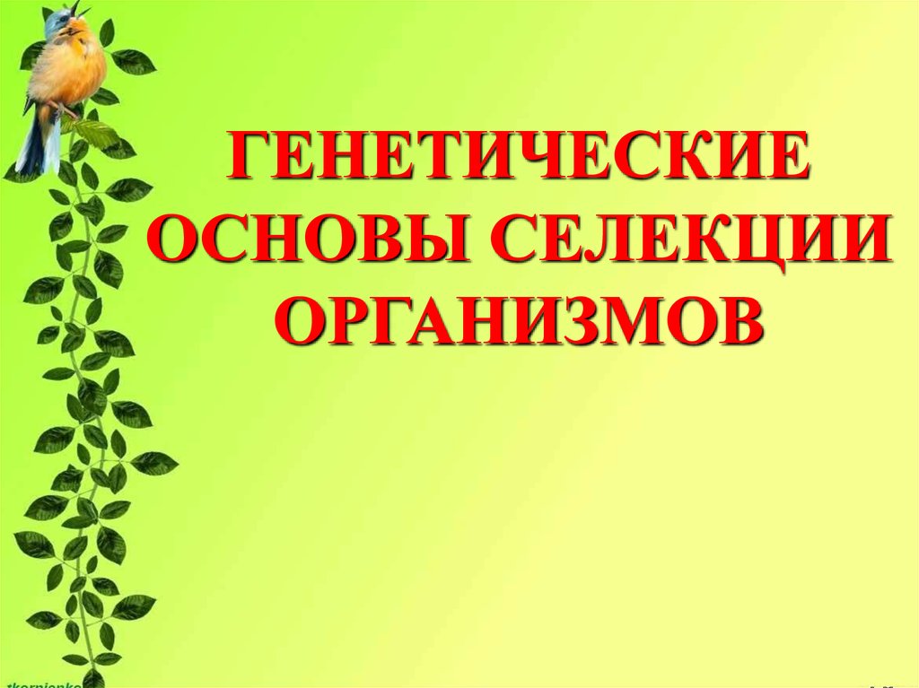 Презентация по биологии по селекции