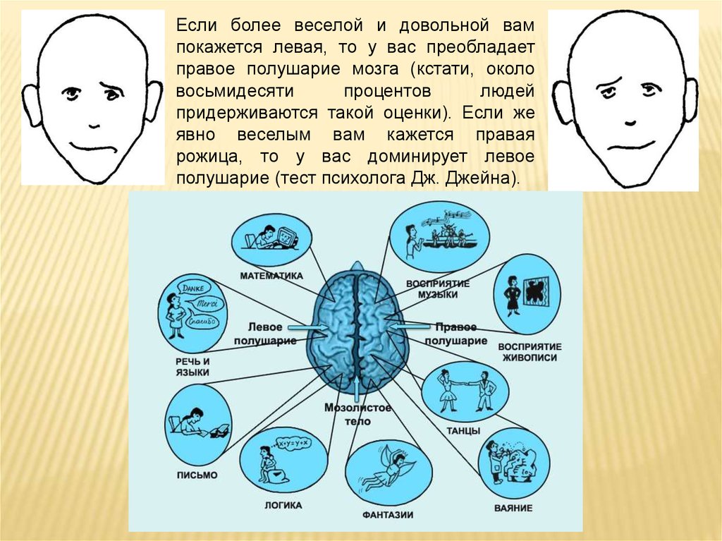 Тест головного полушария. Полушария мозга. Левое и правое полушарие мозга. Мозг человека полушария. Ведущее полушарие мозга.