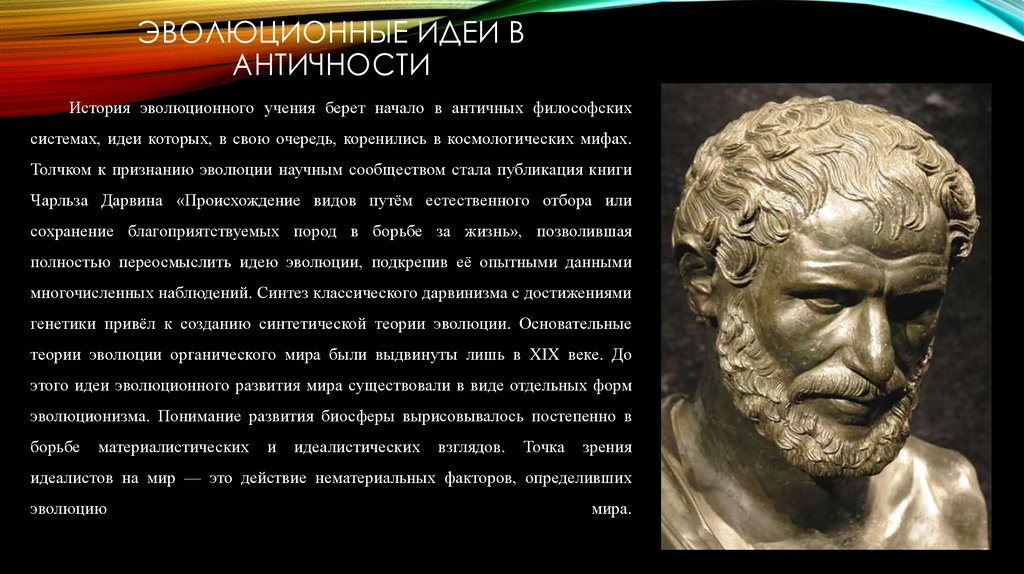 Эволюция зеркала от античности до наших дней индивидуальный проект