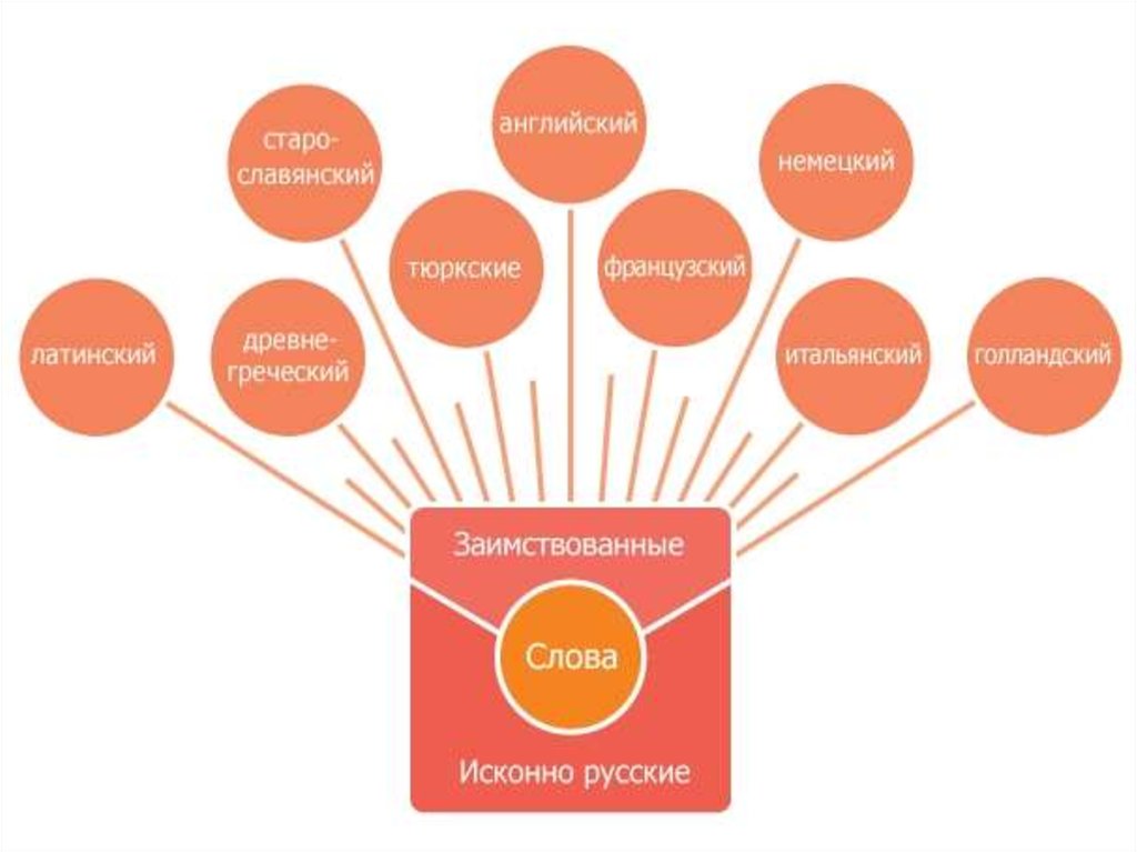 Заимствование немецких слов в русском языке проект