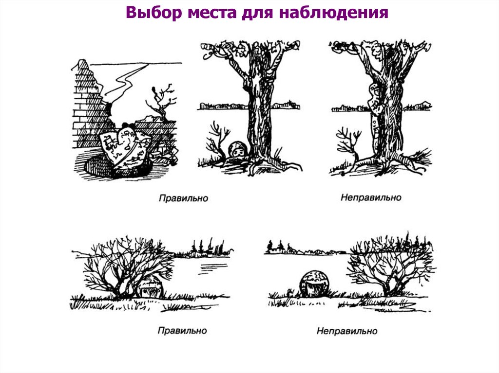 Места наблюдения. Выбор места для наблюдения. Выбор места наблюдения его занятие оборудование и маскировка. Выбор и оборудование мест для наблюдения. Маскировка места для наблюдения.