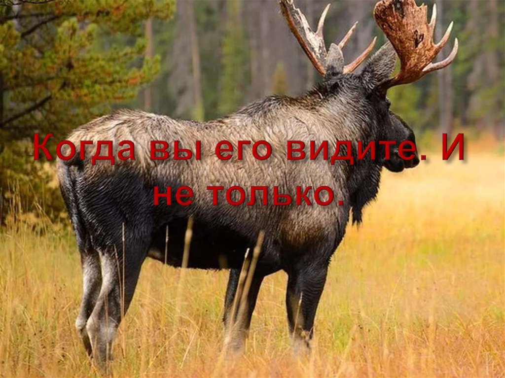 Когда вы его видите. И не только.