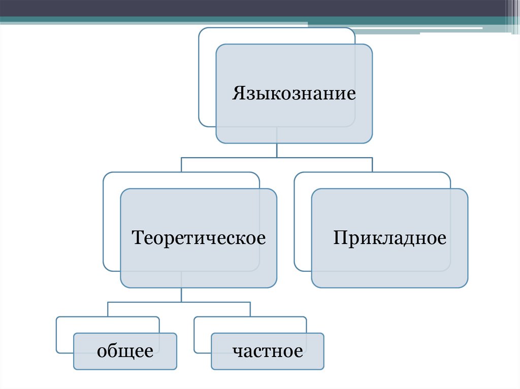 Общее языкознание