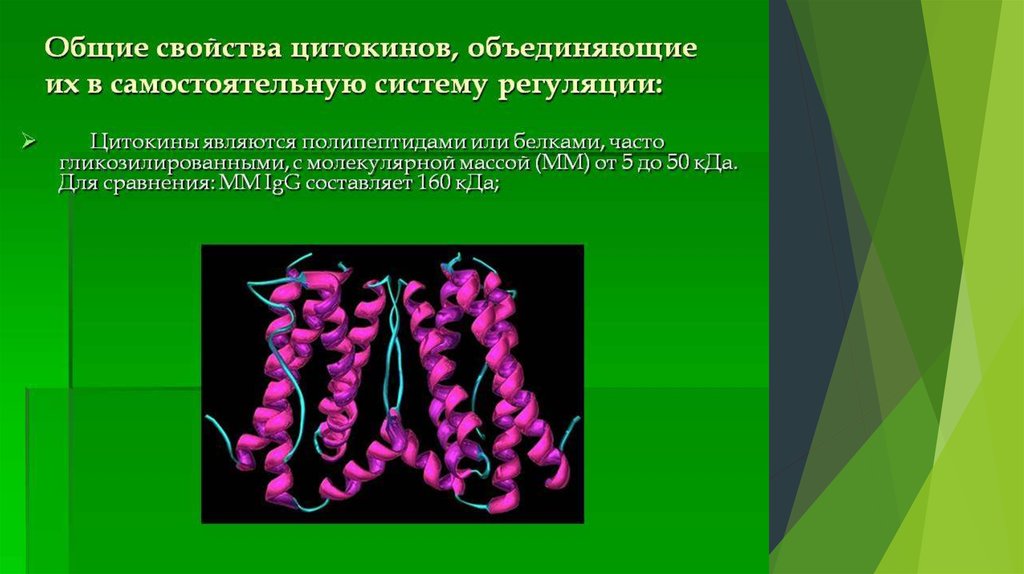 Классификация цитокинов презентация