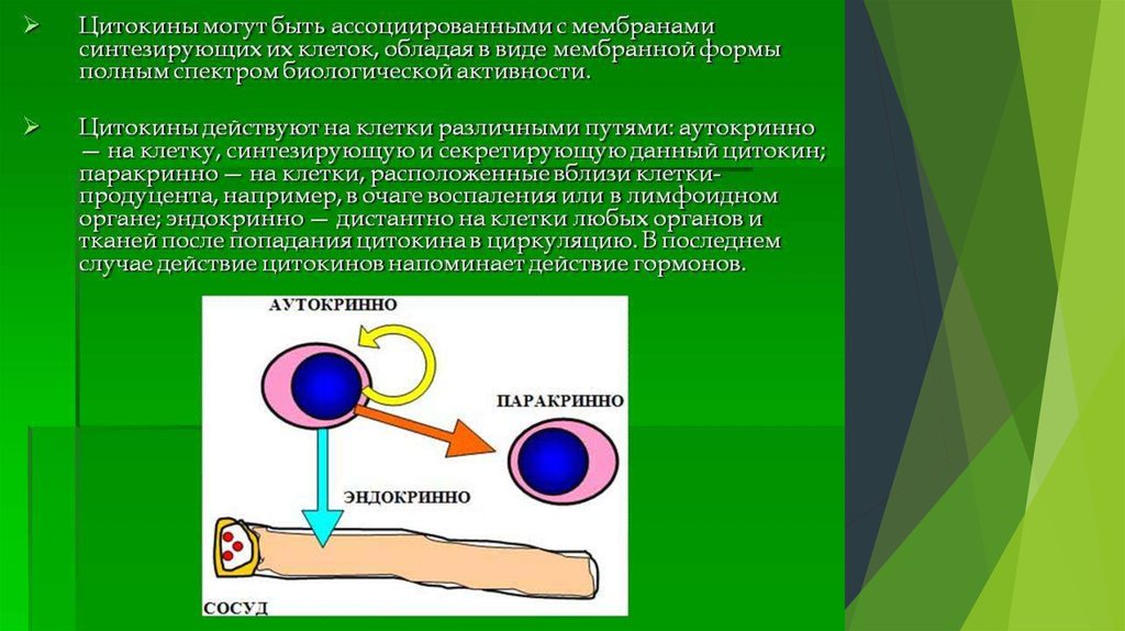 Классификация цитокинов презентация