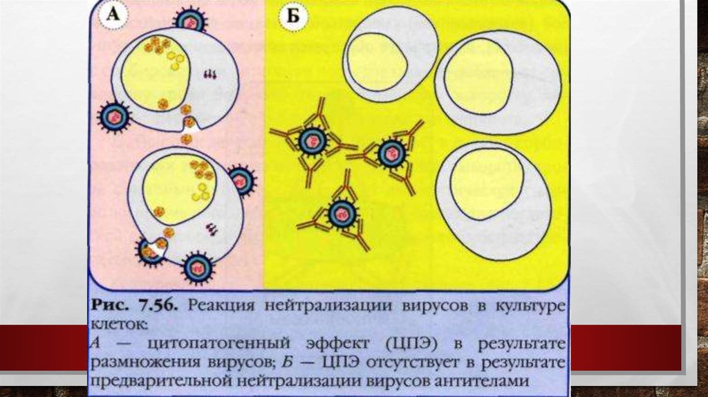 Реакция нейтрализации схема