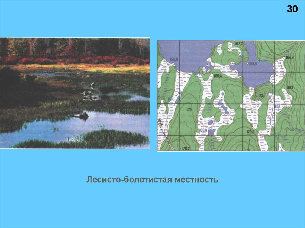 Местность 30. Лесисто-болотистая местность карта. Особенности лесисто болотистой местности. Преимущество болотистой местности. Болотистая местность в Орле на карте.