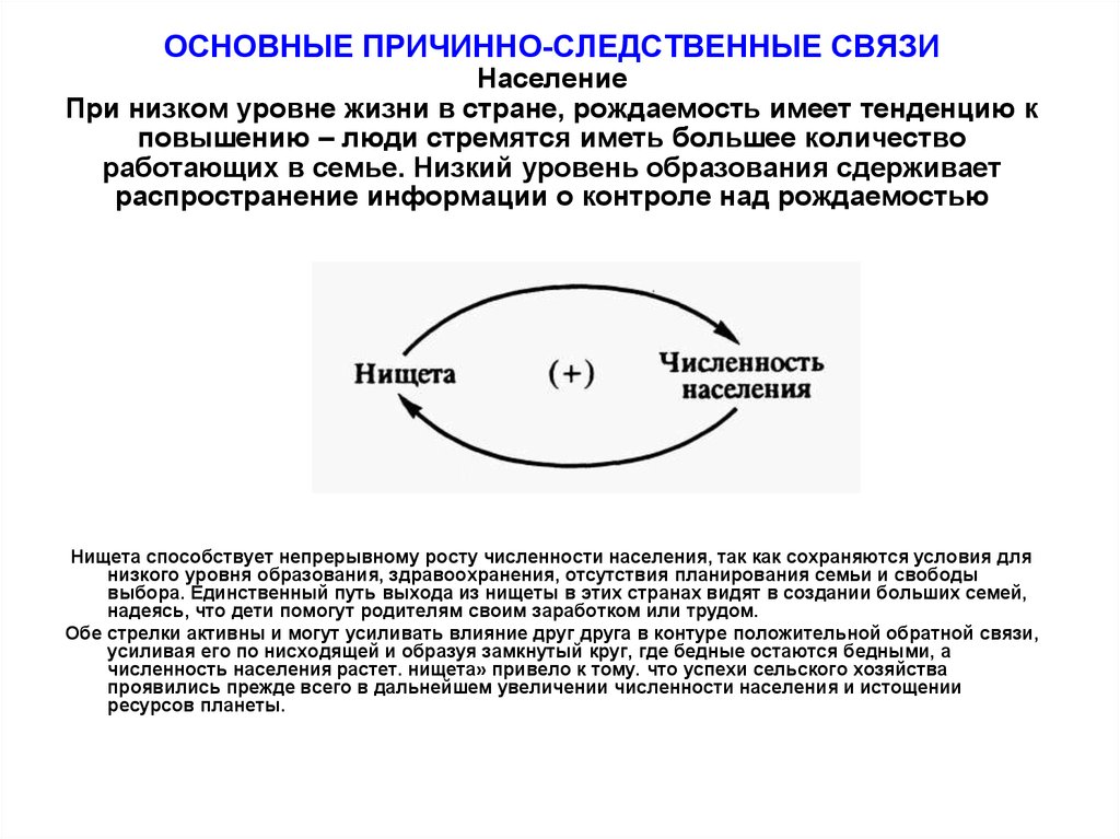 Системная динамика презентация