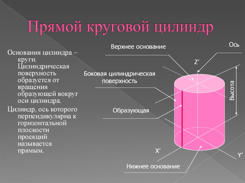 Основанием прямого цилиндра является