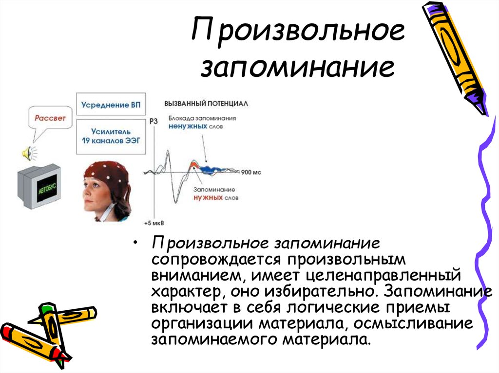 Произвольная и непроизвольная память картинки