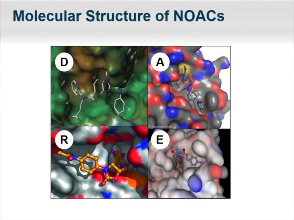 Molecular Structure of NOACs