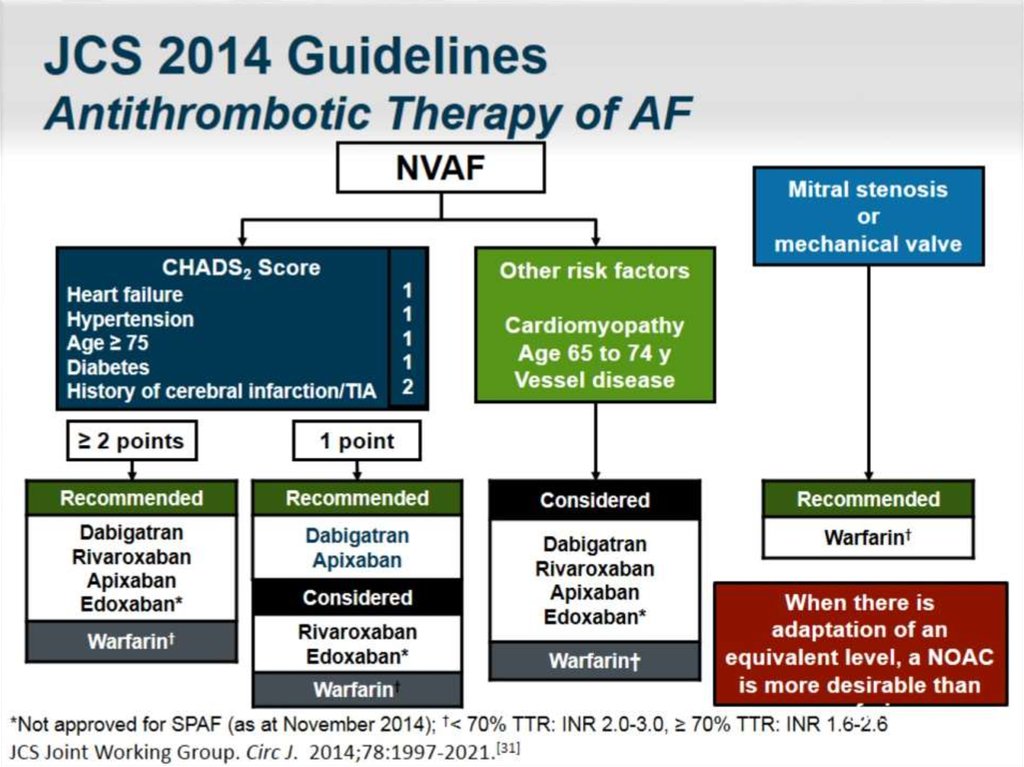 JCS 2014 Guidelines Antithrombotic Therapy of AF