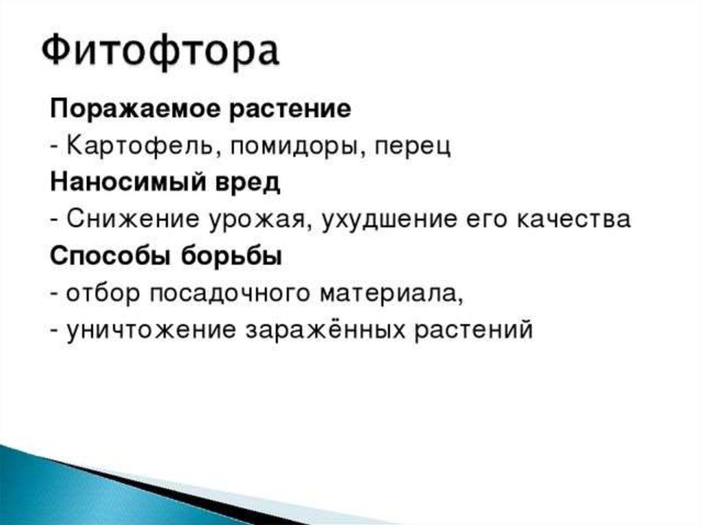 Фитофтора какой вред. Грибы паразиты 5 класс биология таблица. Грибы паразиты 5 класс таблица. Название грибов паразитов поражаемые растения. Таблица грибов паразитов 5 класс.