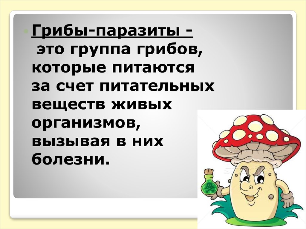 Грибы паразиты презентация 6 класс