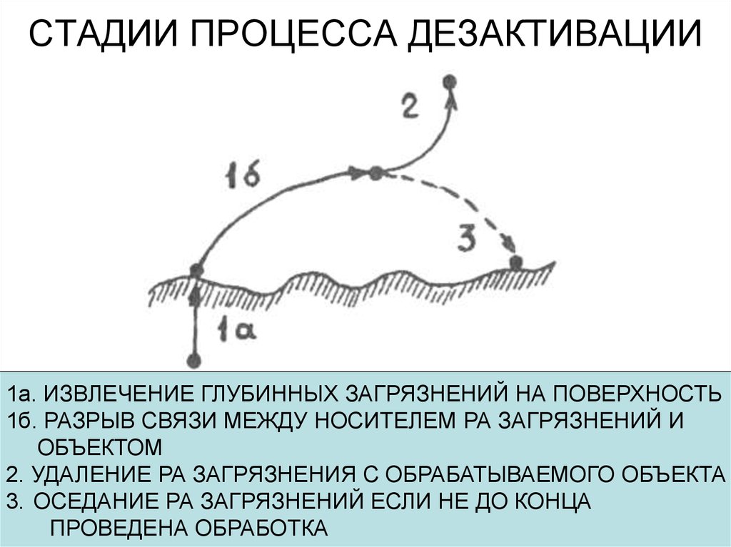 СТАДИИ ПРОЦЕССА ДЕЗАКТИВАЦИИ