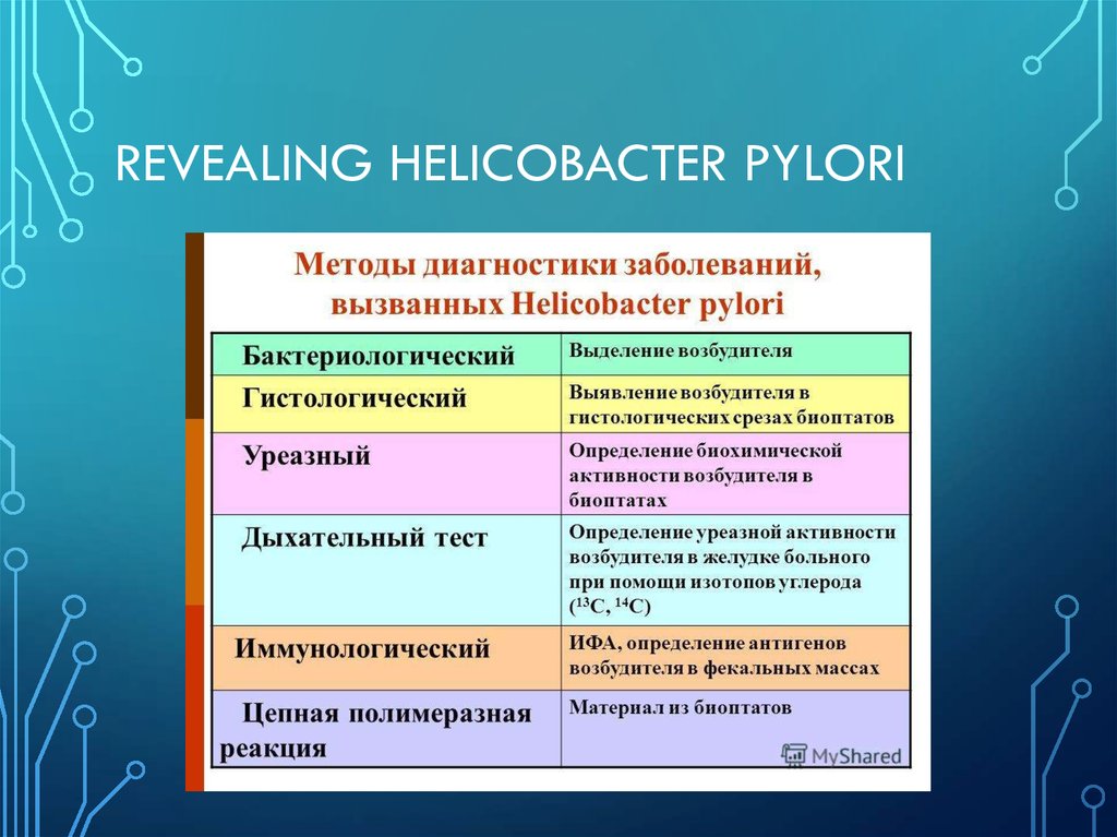 revealing Helicobacter pylori