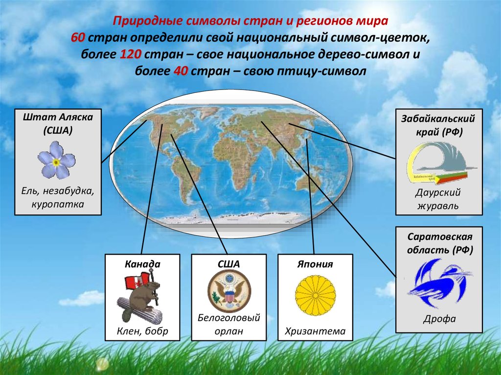 Природные знаки. Природные символы. Что такое природные знаки России. Что такое природный символ региона. Объяснение природных значков.