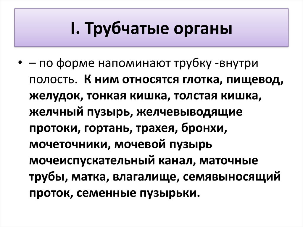 Паренхиматозные органы это. К трубчатым органам относят. Трубчатые органы примеры. Трубчатые и паренхиматозные органы. Полые трубчатые органы.