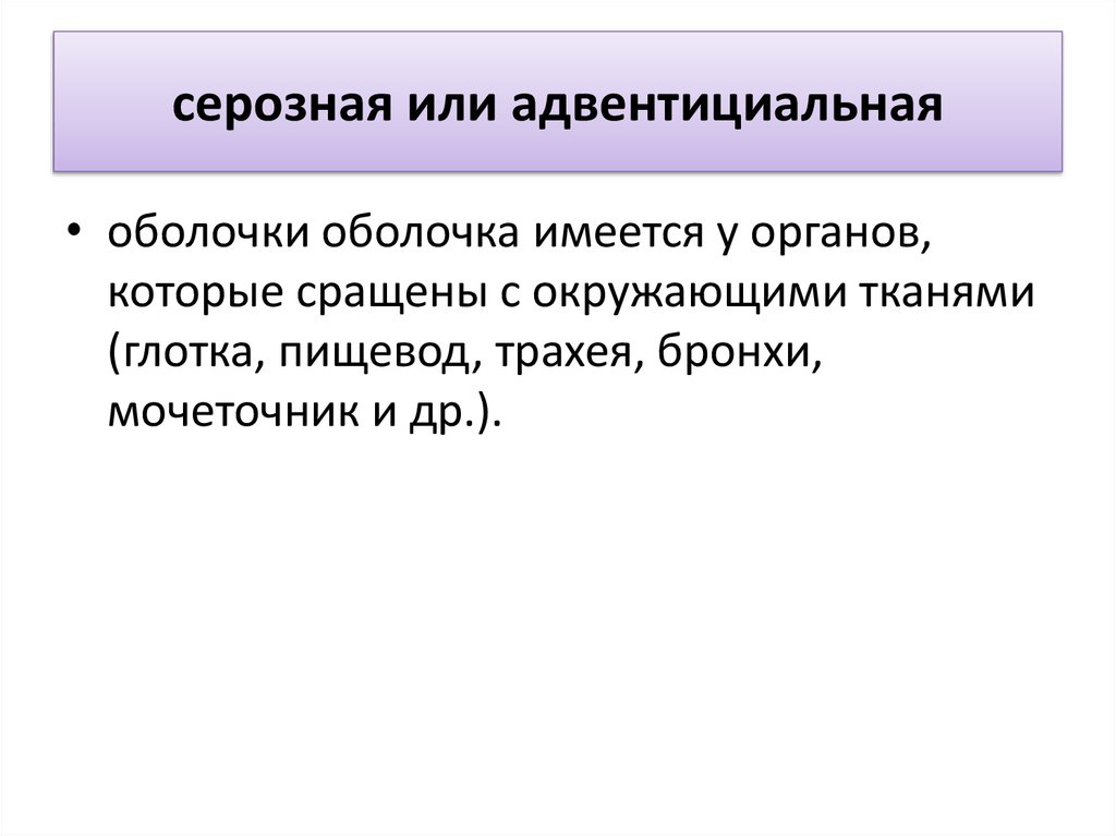 Серозная оболочка. Серозная или адвентициальная. Серозная оболочка или адвентиция. Серозная от адвентиции. Серозная оболочка отличается от адвентициальной.