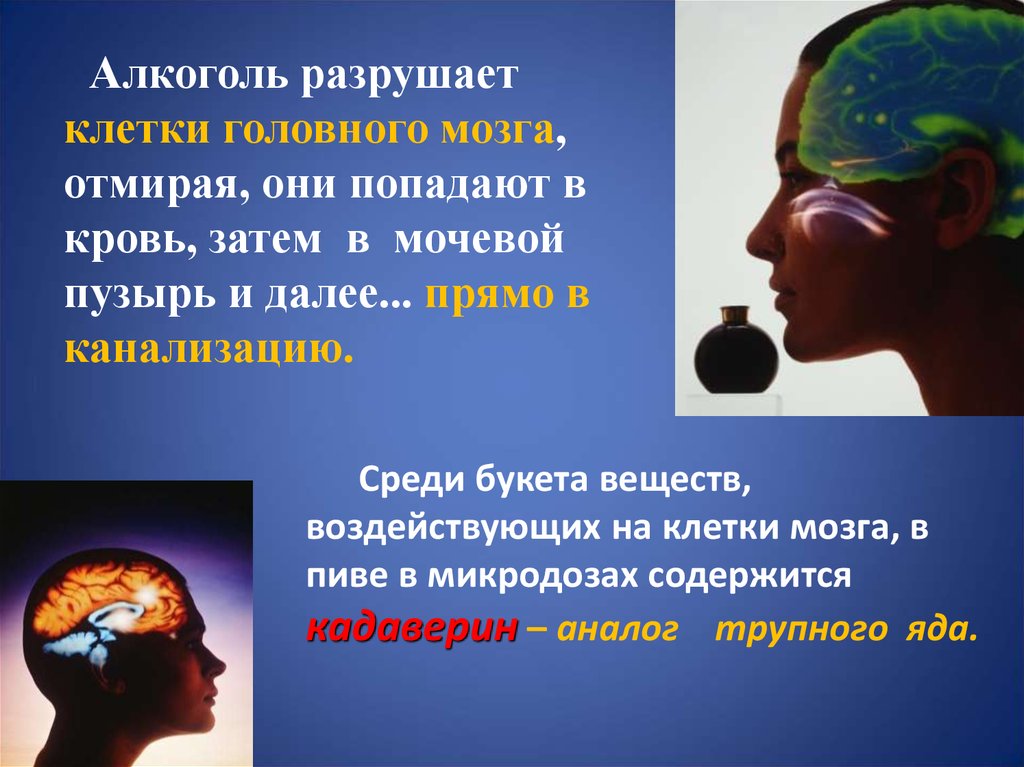Разрушили голову. Алкоголь разрушает мозг. Разрушение клеток мозга. Алкоголь разрушает клетки мозга.