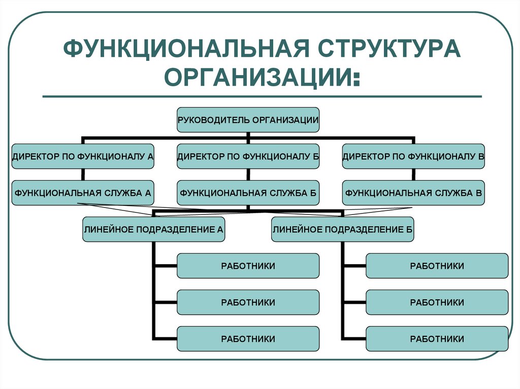 Функциональная структура общества