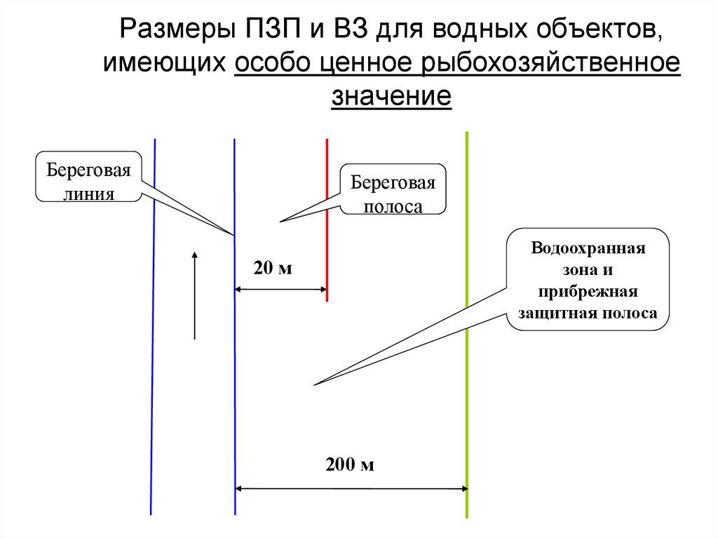 Береговых полосах общего пользования водных