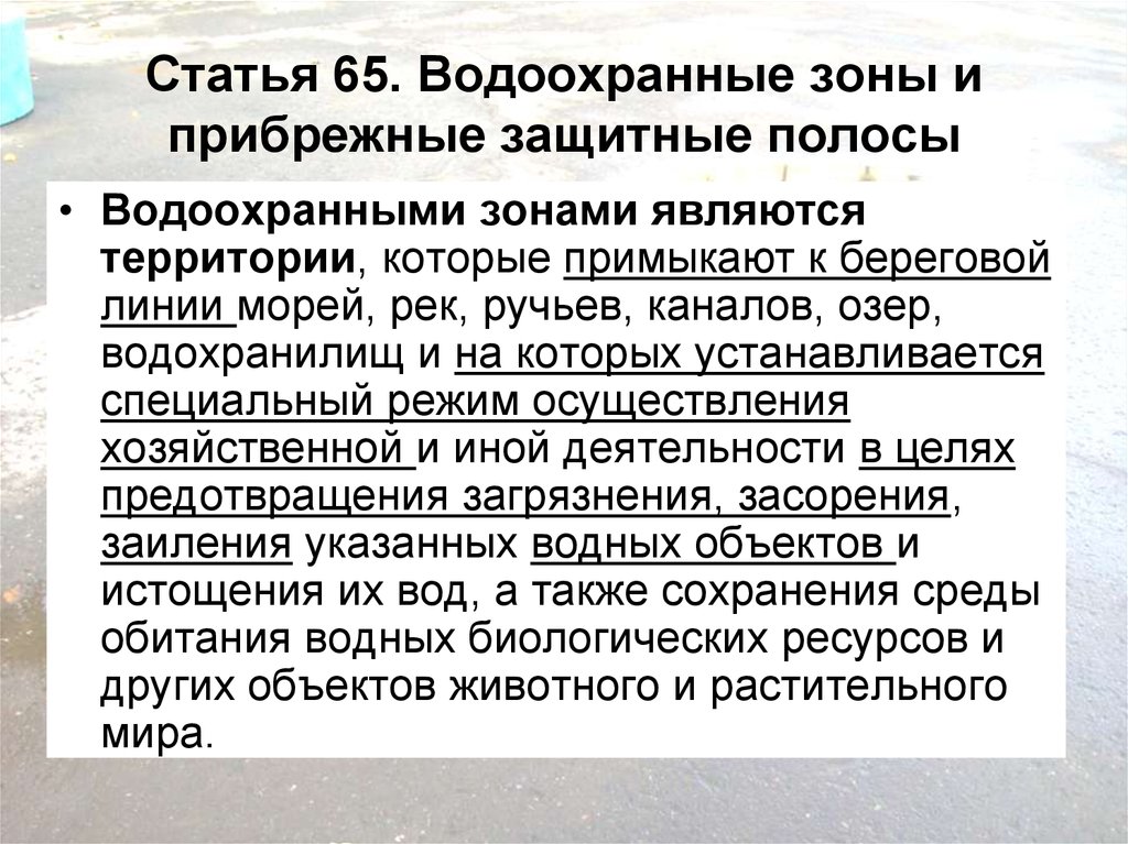 Статья 65