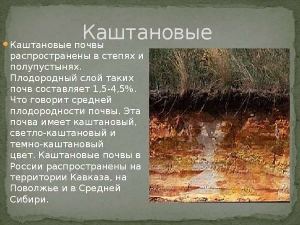 Каштановые оценка плодородия