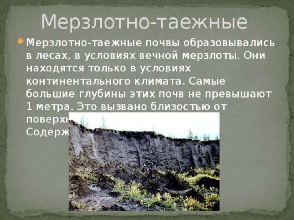 Мерзлотно таежные почвы содержание гумуса. Мерзлотно подзолистые почвы таблица. Гумусовый Горизонт в мерзлотно таежных почвах. Климат мерзлотно таежных почв. Мерзлотно-Таежные почвы характеристика.