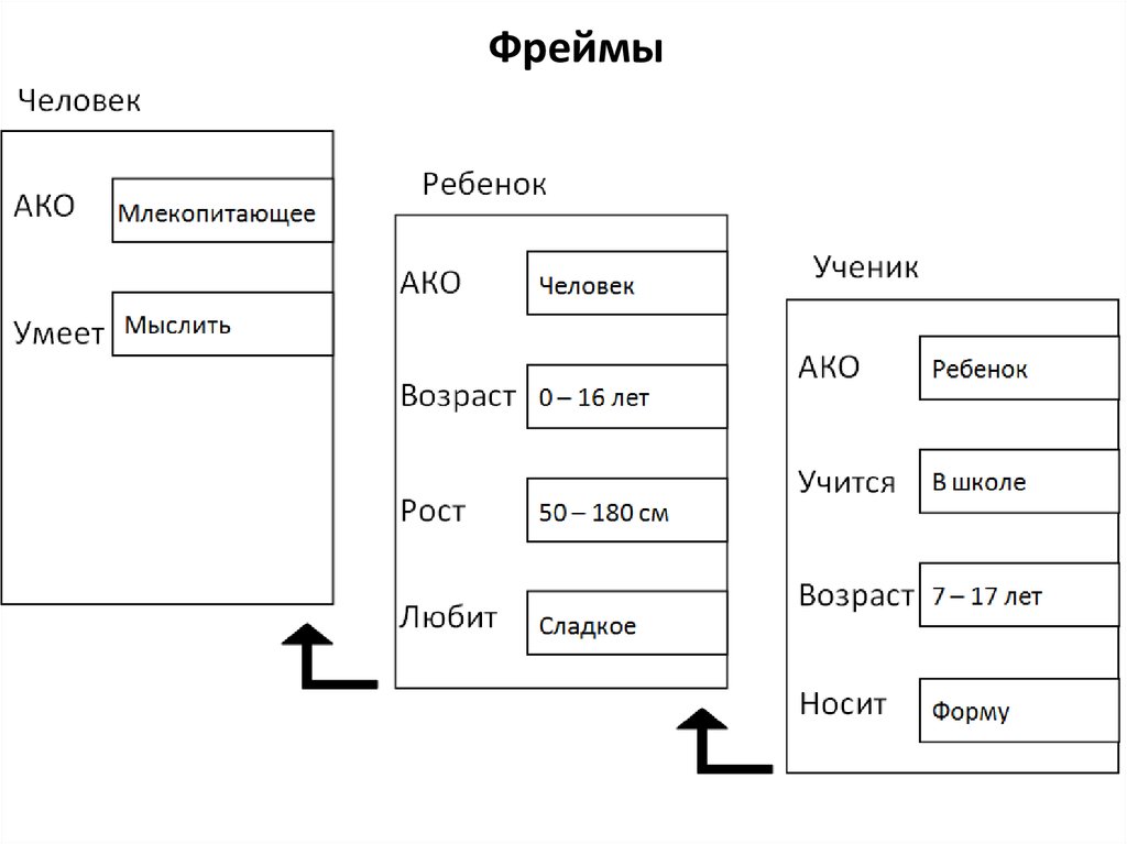 Фреймы человека