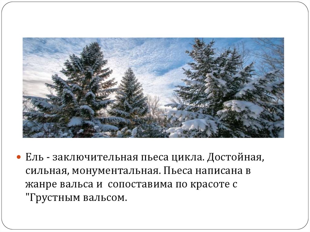 Три ели в произведении. Произведение ель. Тема произведения ель. Сочинение о ели. Сочинение про ель.