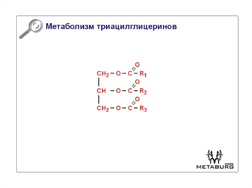 Гидролиз триацилглицеролов происходит по следующей схеме