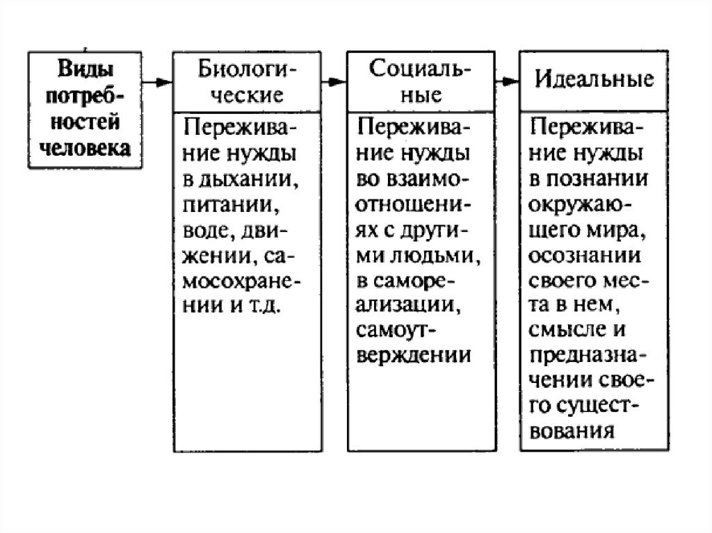 Деятельность человека сообщение