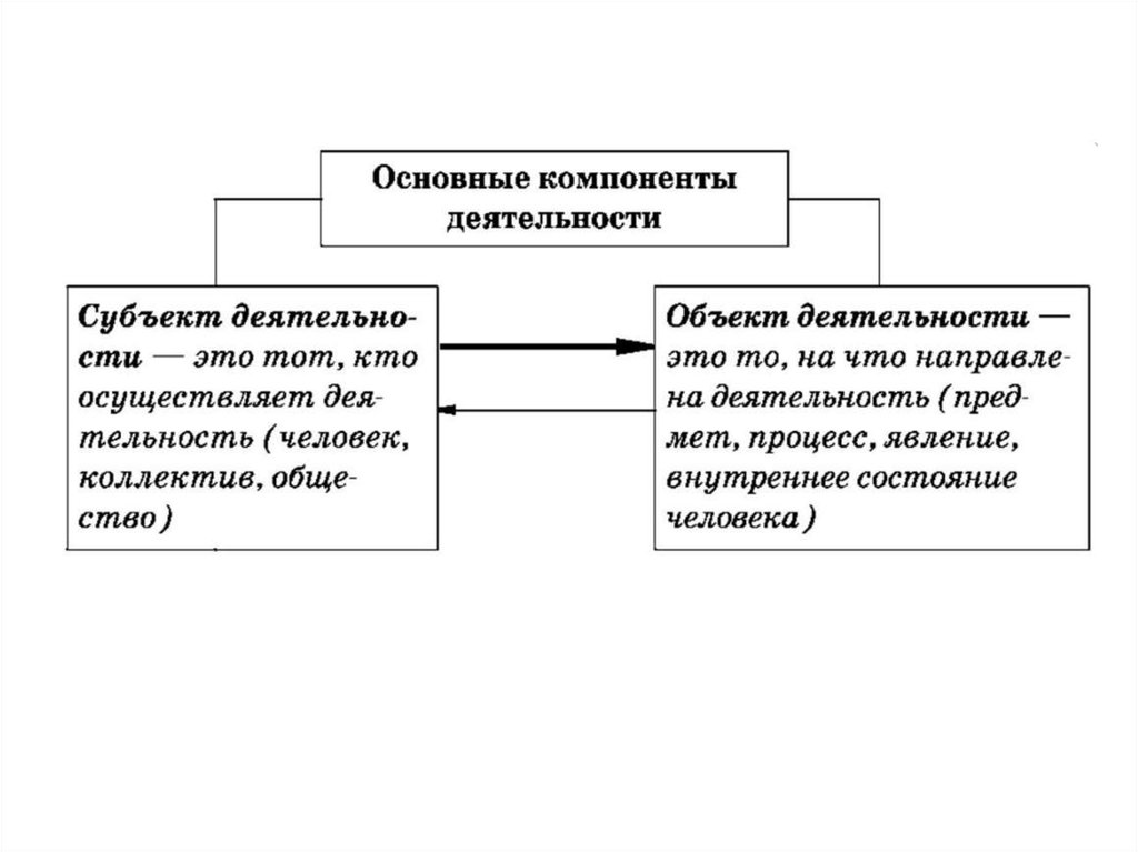 Область человеческой деятельности