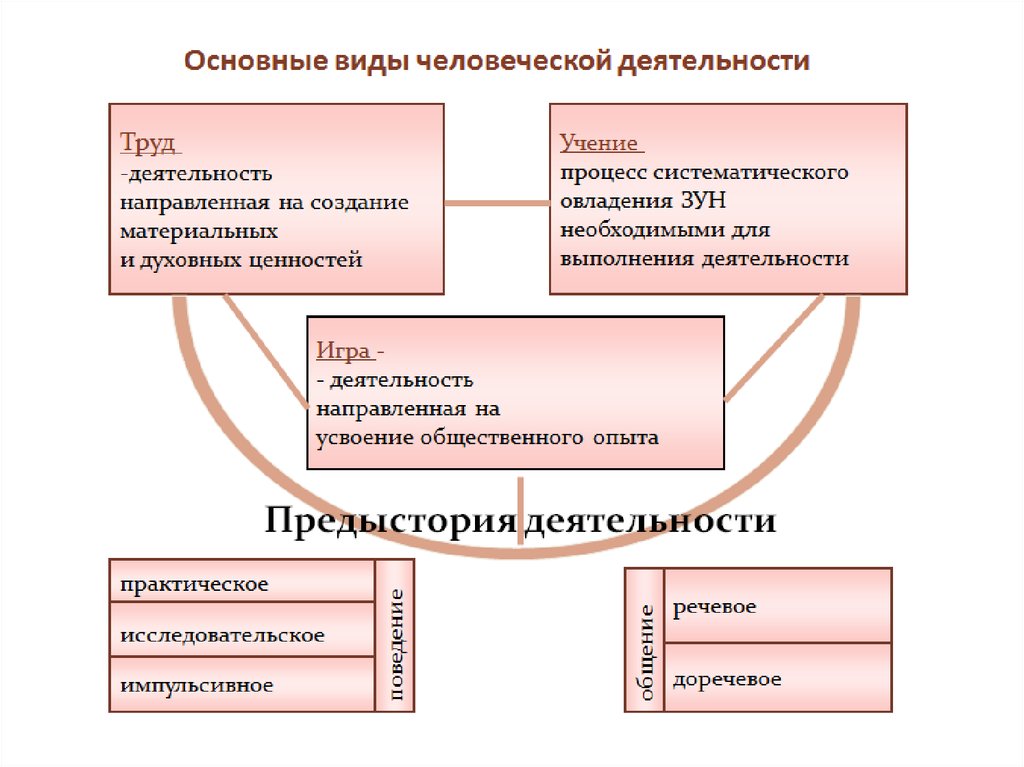 Вид деятельности направленный