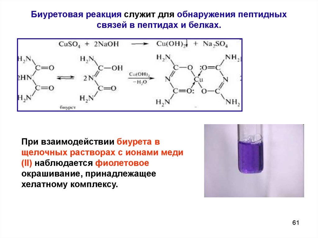 Белок и сульфат меди. Схема реакции биурета с гидроксидом меди 2. Биурет с гидроксидом меди 2. Биуретовая кислота формула. Реакция Пиотровского биуретовая реакция.